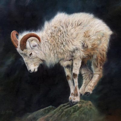 Mountain Goat II by David Stribbling art print