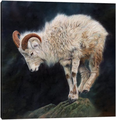 Mountain Goat II Canvas Art Print - David Stribbling