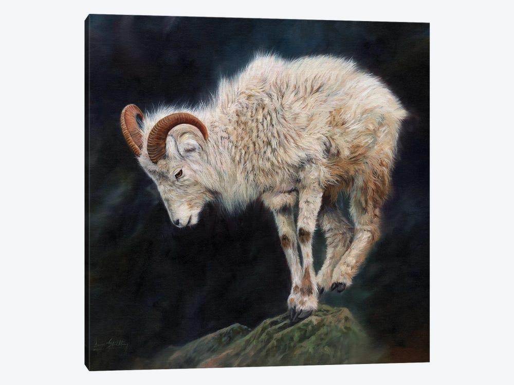 Mountain Goat II by David Stribbling 1-piece Canvas Art
