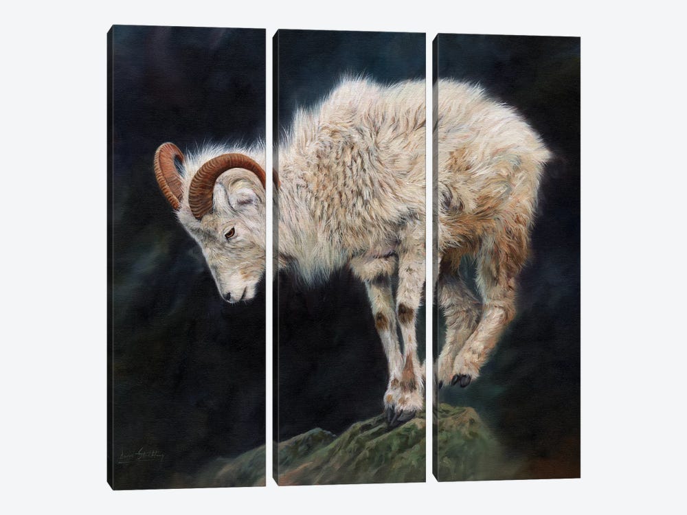 Mountain Goat II by David Stribbling 3-piece Canvas Artwork