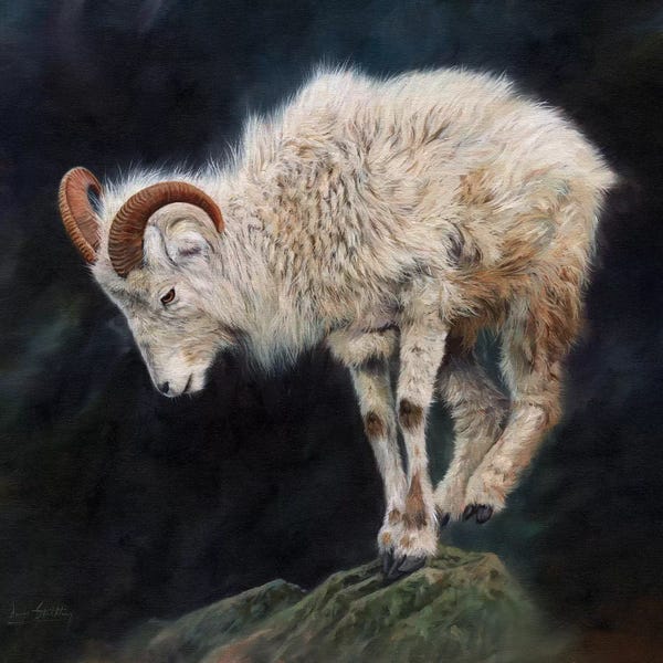 Goats: Mountain Goat II by David Stribbling