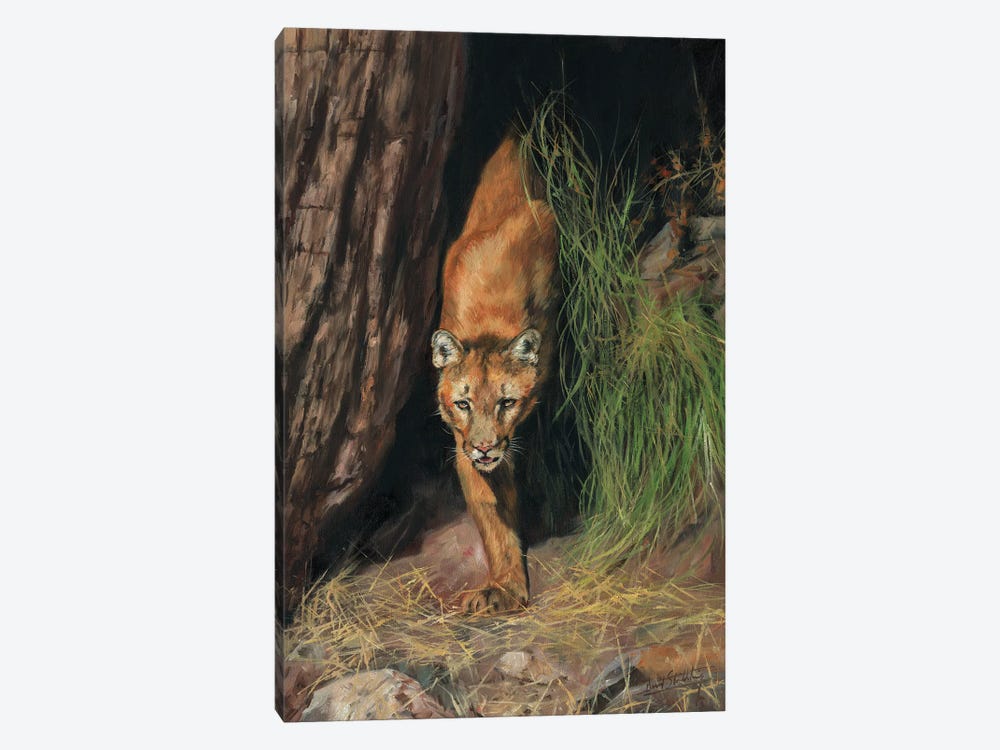 Mountain Lion I by David Stribbling 1-piece Canvas Print