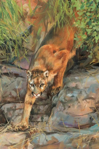 David Stribbling: Mountain Lion II by David Stribbling