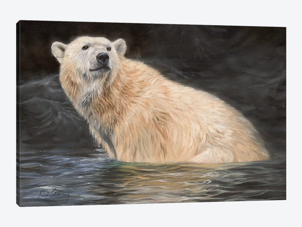 Polar Bear by David Stribbling 1-piece Art Print