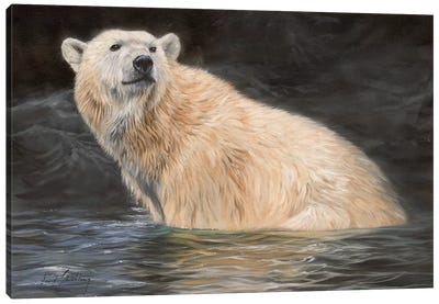 Polar Bear Canvas Art Print - David Stribbling