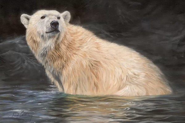 David Stribbling: Polar Bear by David Stribbling