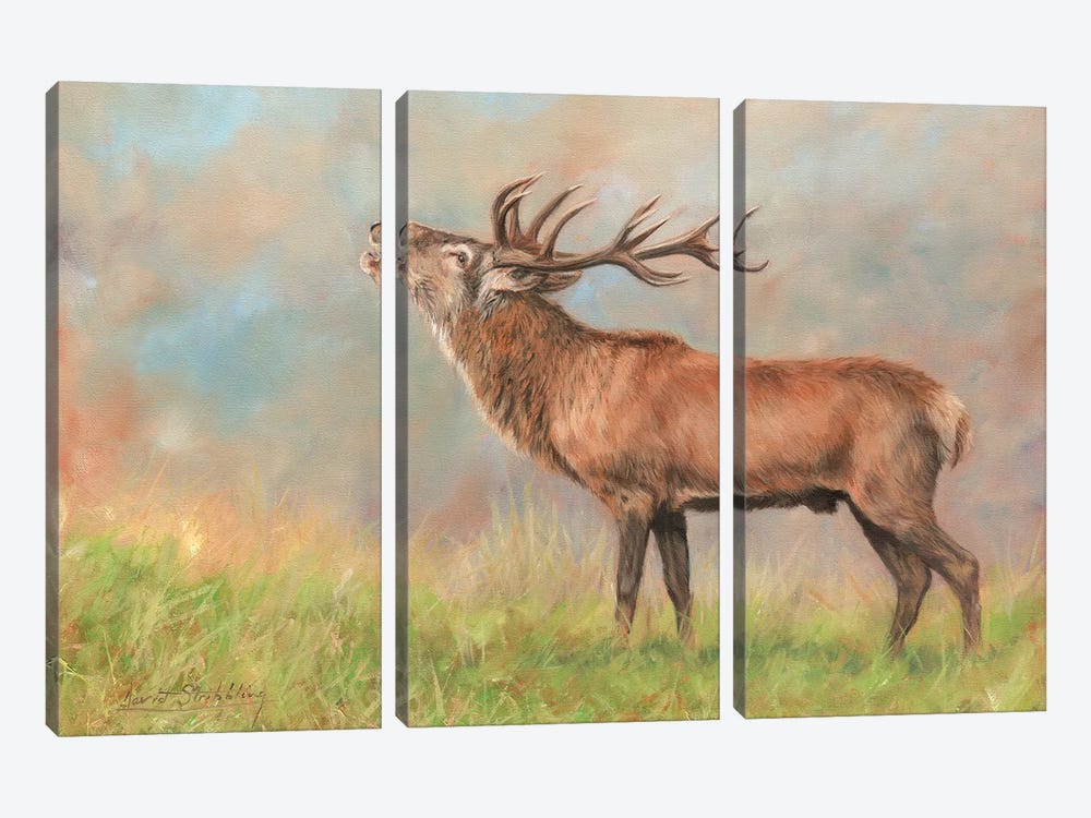 Red Deer by David Stribbling 3-piece Canvas Print