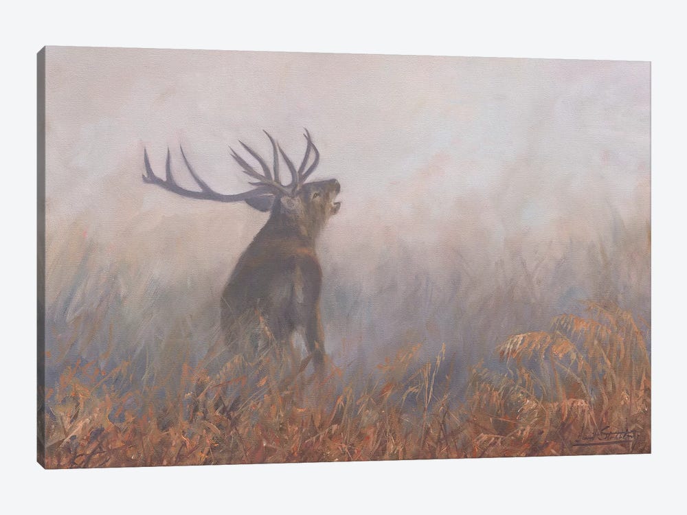 Red Deer Misty Morning by David Stribbling 1-piece Canvas Artwork