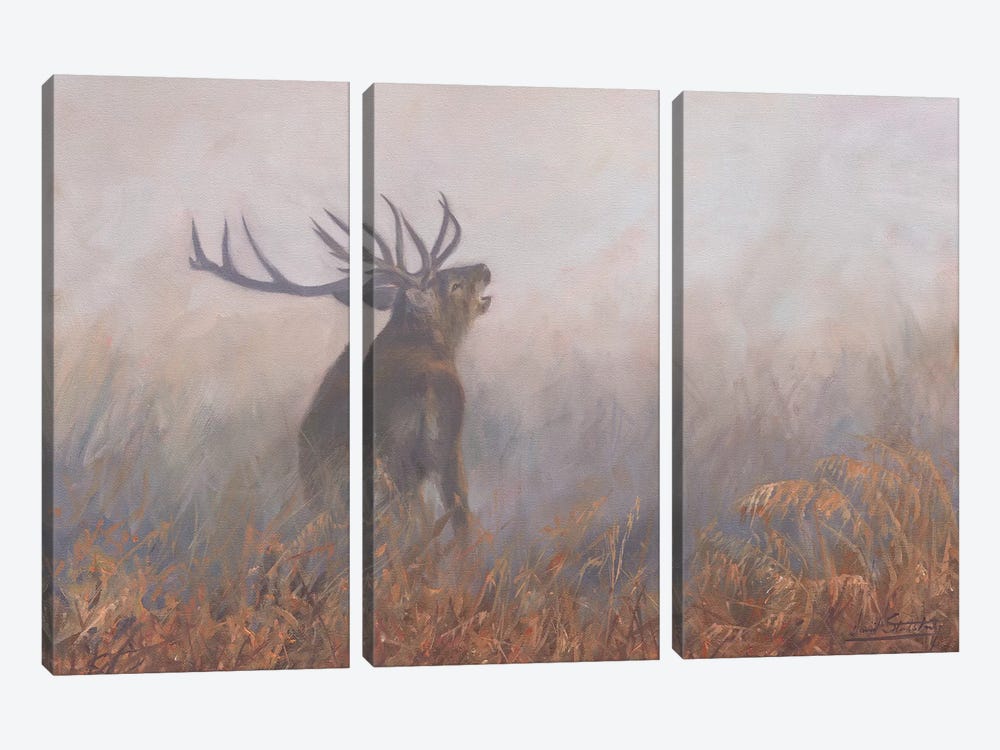 Red Deer Misty Morning by David Stribbling 3-piece Canvas Wall Art
