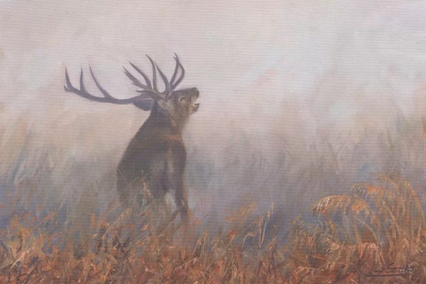 David Stribbling: Red Deer Misty Morning by David Stribbling