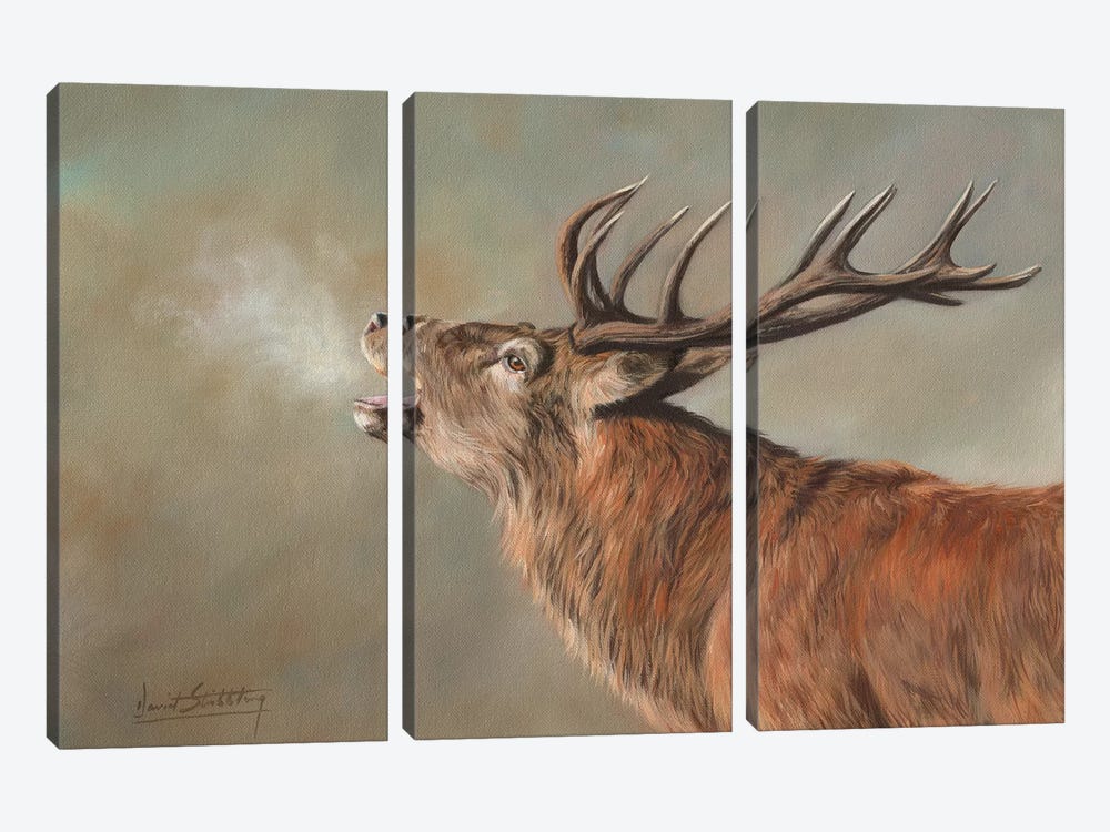 Red Deer Stag Early Morning by David Stribbling 3-piece Canvas Art