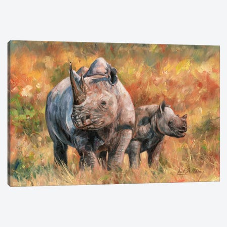 Rhino And Baby Canvas Print #STG90} by David Stribbling Canvas Print