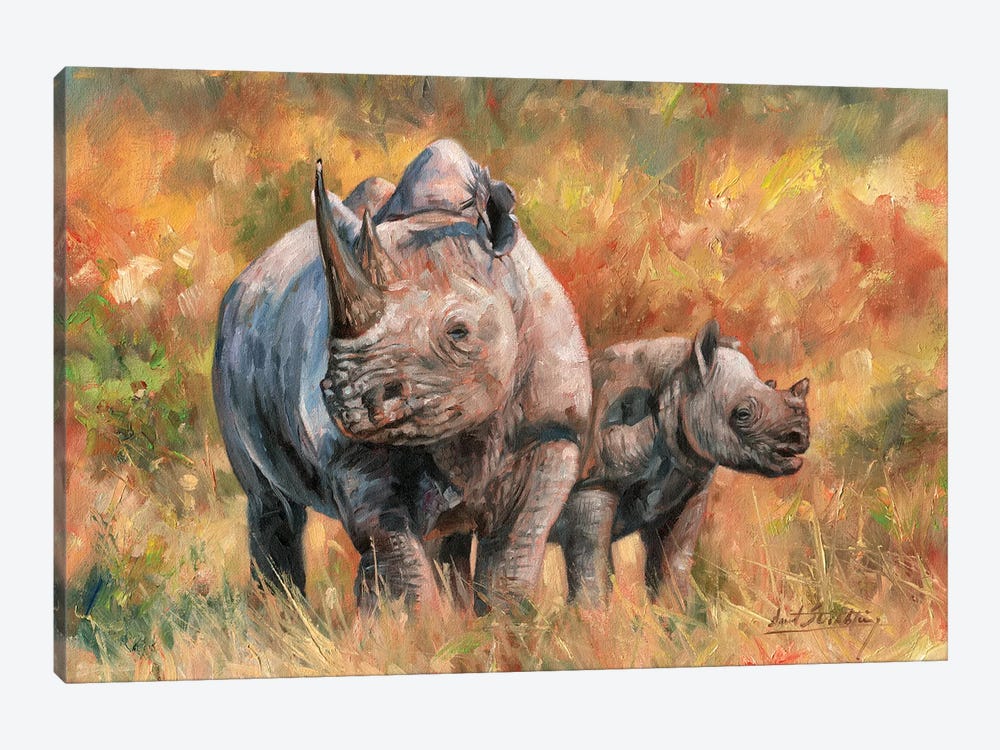 Rhino And Baby by David Stribbling 1-piece Canvas Art