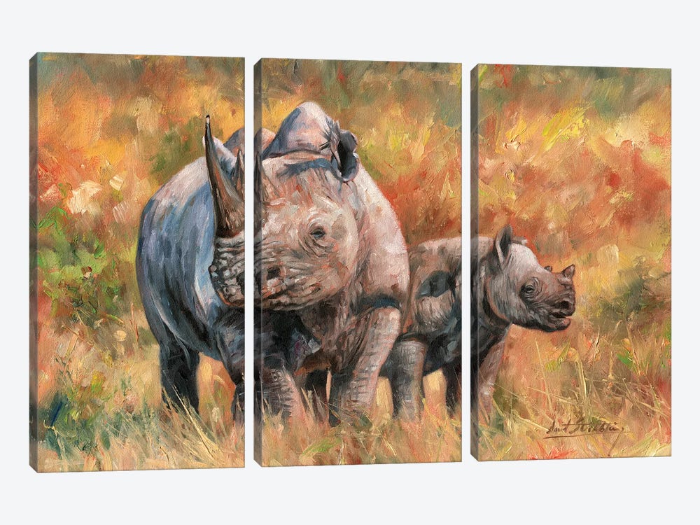 Rhino And Baby by David Stribbling 3-piece Canvas Wall Art