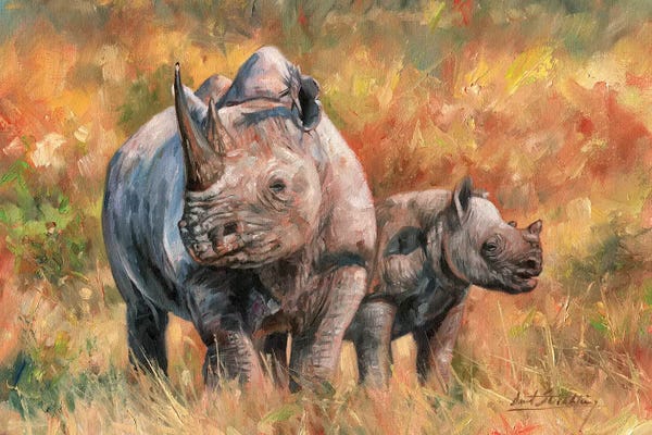 Rhinoceroses: Rhino And Baby by David Stribbling
