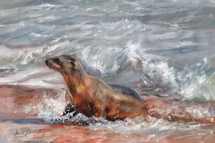 Sea Lion