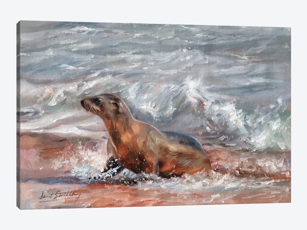 Sea Lion by David Stribbling 1-piece Art Print
