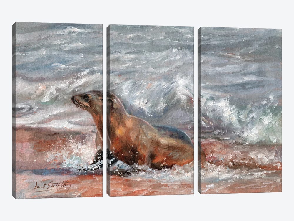 Sea Lion by David Stribbling 3-piece Canvas Art Print