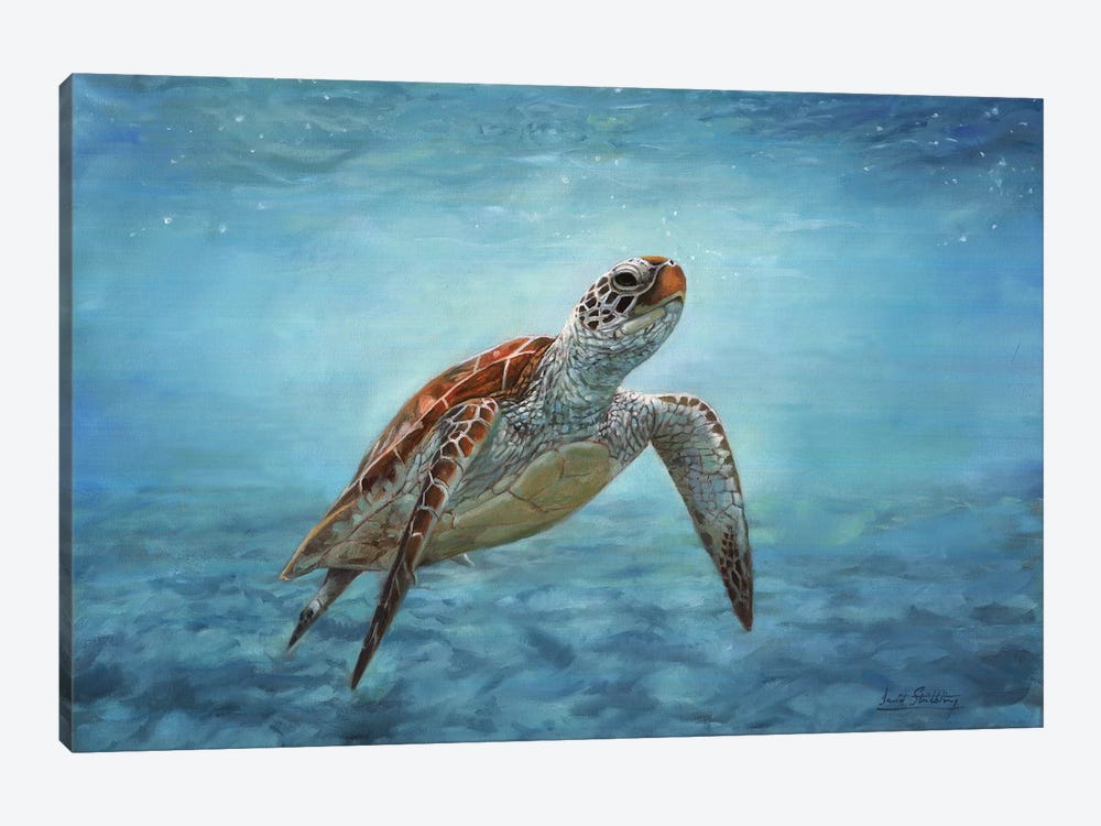 Sea Turtle by David Stribbling 1-piece Canvas Art