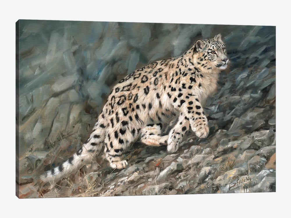 Snow Leopard Ascent by David Stribbling 1-piece Canvas Wall Art