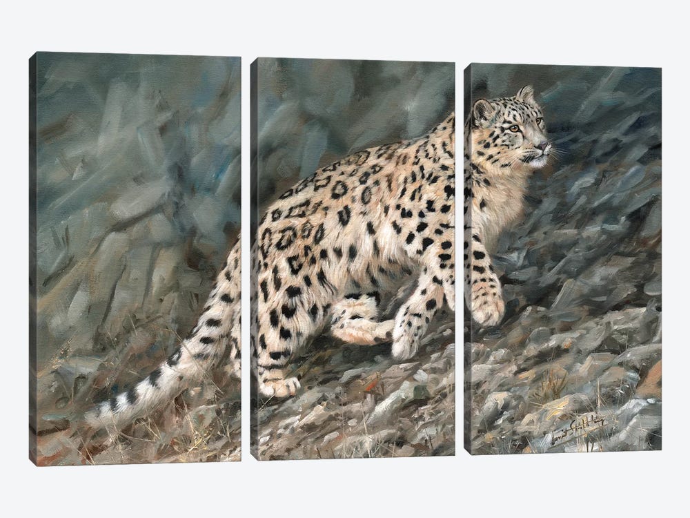 Snow Leopard Ascent by David Stribbling 3-piece Canvas Wall Art