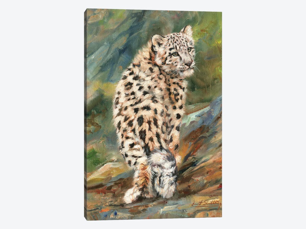 Snow Leopard Cub Looking Back by David Stribbling 1-piece Canvas Art