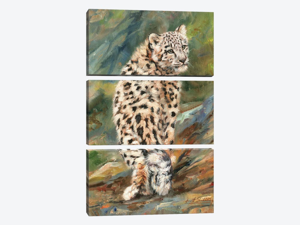 Snow Leopard Cub Looking Back by David Stribbling 3-piece Canvas Art