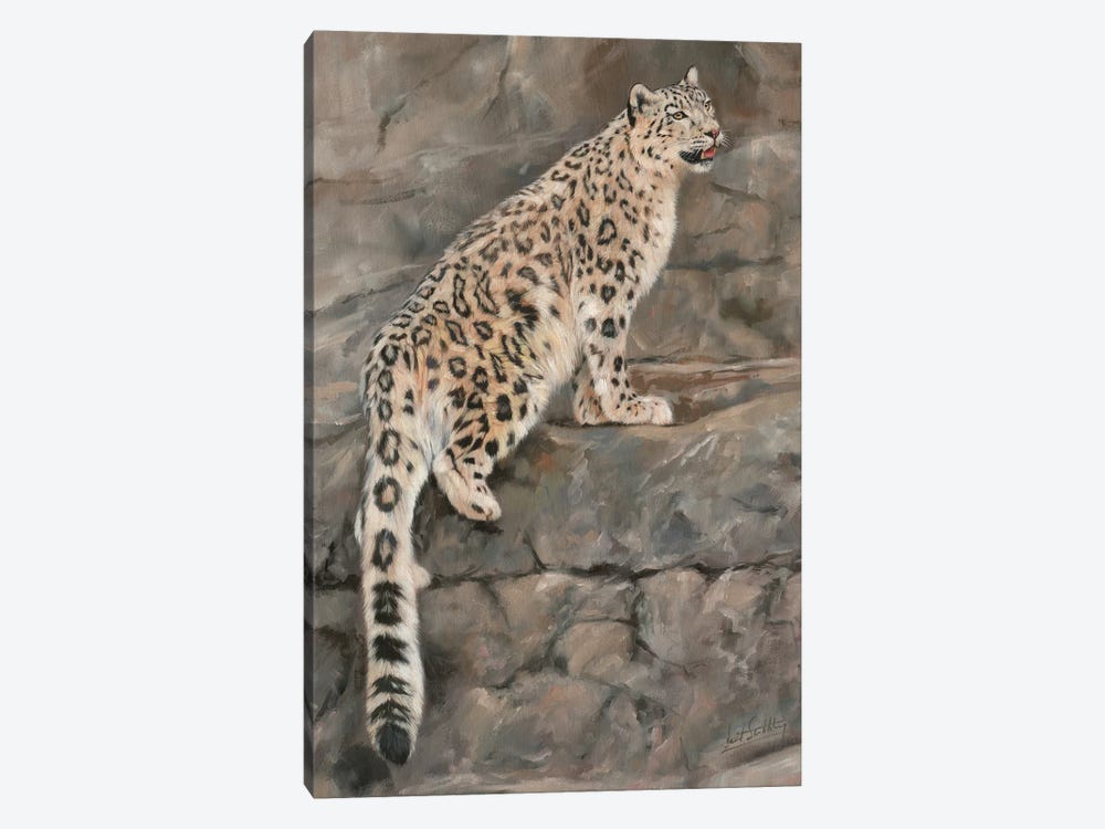 Snow Leopard I by David Stribbling 1-piece Canvas Art Print