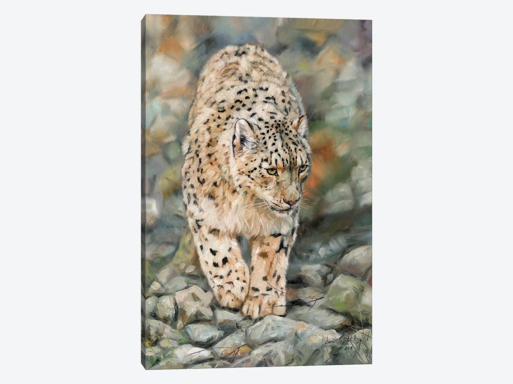 Snow Leopard II by David Stribbling 1-piece Canvas Artwork