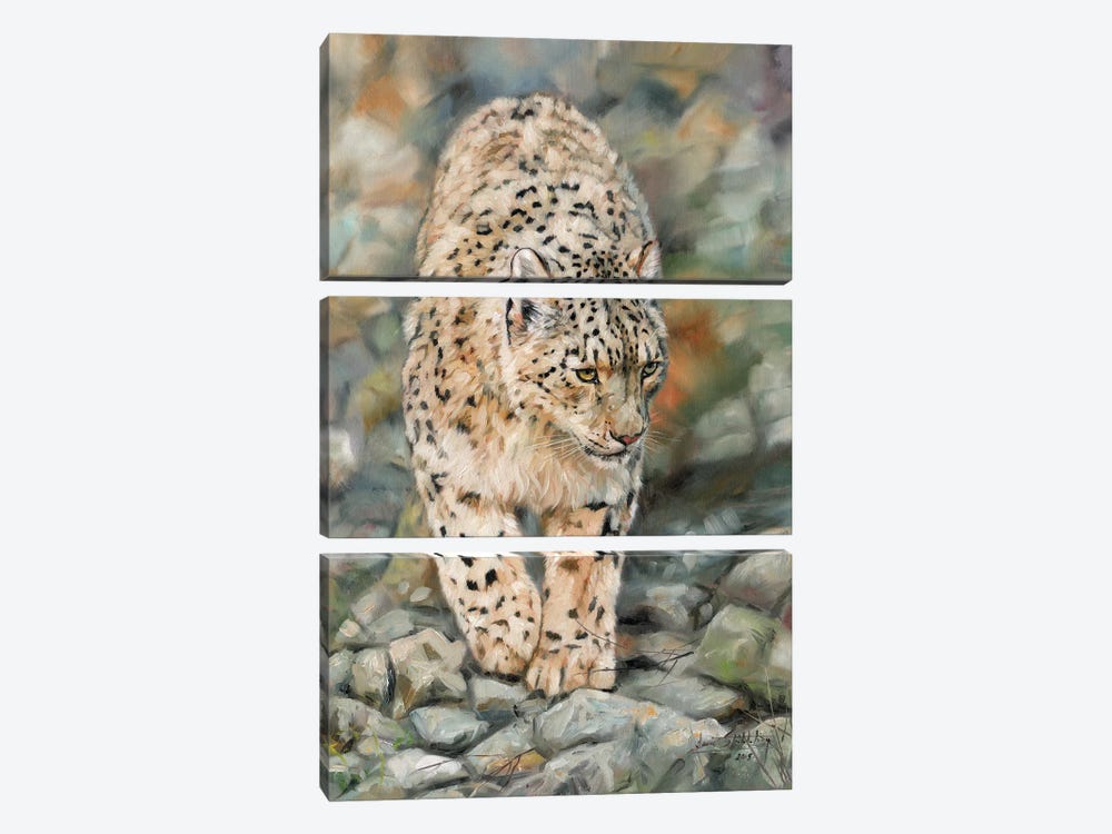 Snow Leopard II by David Stribbling 3-piece Canvas Art