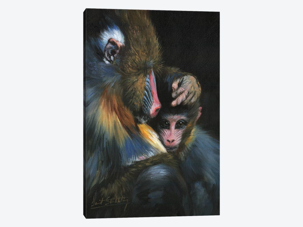 Baboon Mother And Baby by David Stribbling 1-piece Art Print