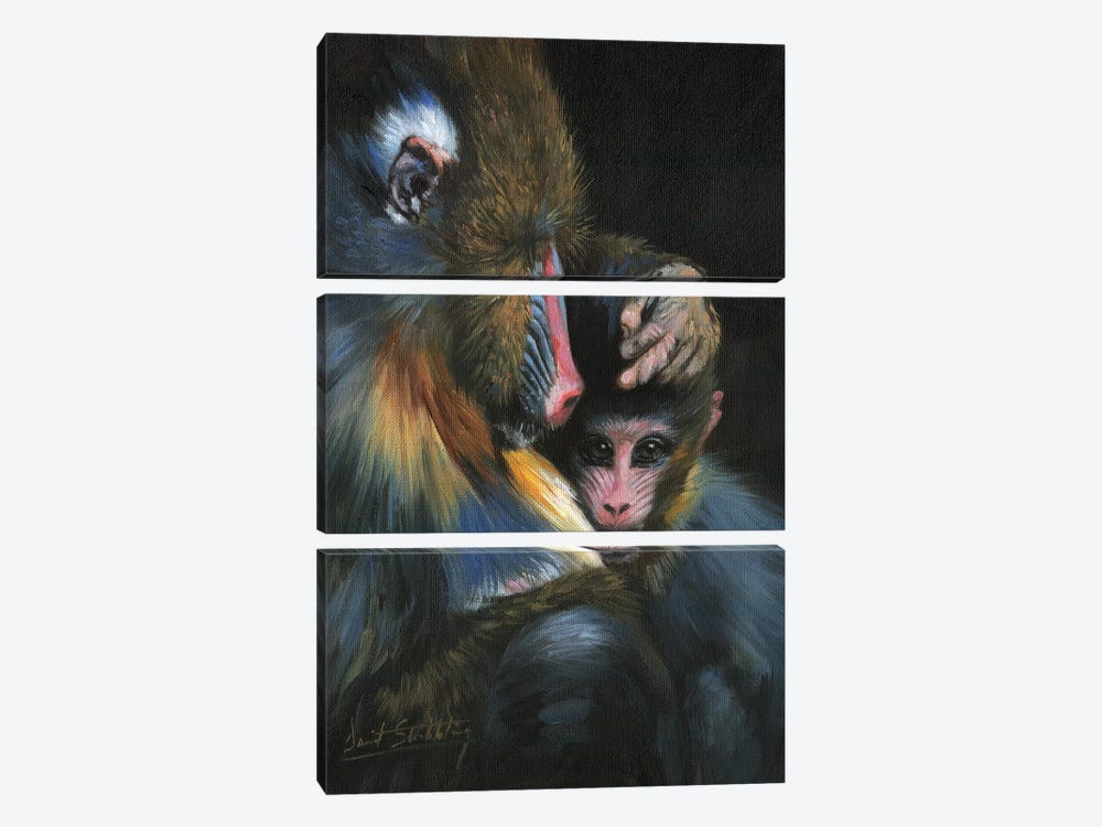 Baboon Mother And Baby by David Stribbling 3-piece Canvas Art Print