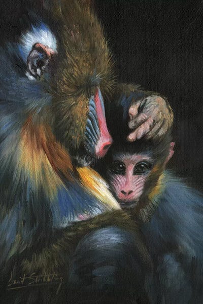 Monkeys: Baboon Mother And Baby by David Stribbling