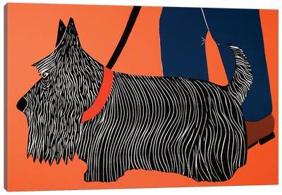 Dogs Can Heel Canvas Art Print - Schnauzer Art