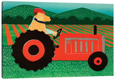 The Tractor Canvas Art Print - Tractors