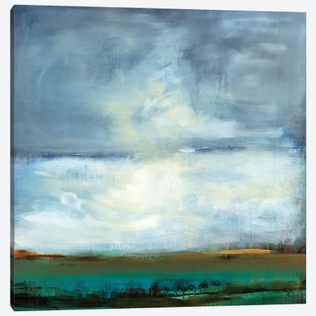 Shifting Plains Canvas Print #STK24} by Sarah Stockstill Canvas Art Print