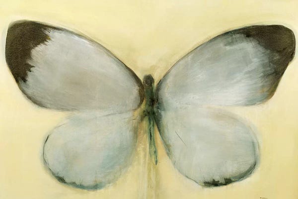 Sarah Stockstill: Chrysalis by Sarah Stockstill