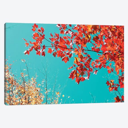 Autumn Tapestry I Canvas Print #STL1} by Judy Stalus Canvas Wall Art