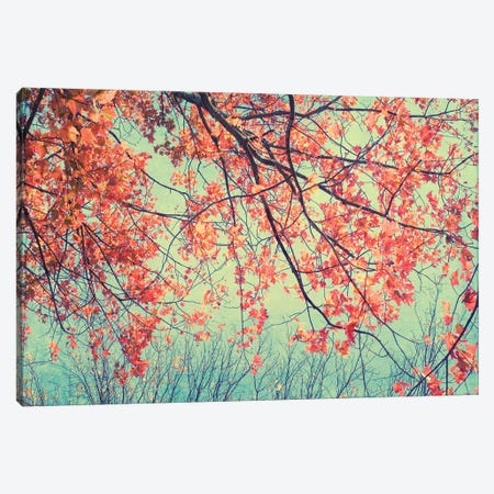 Autumn Tapestry II Canvas Print #STL2} by Judy Stalus Canvas Wall Art