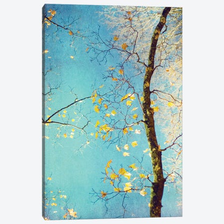 Autumn Tapestry III Canvas Print #STL3} by Judy Stalus Canvas Wall Art
