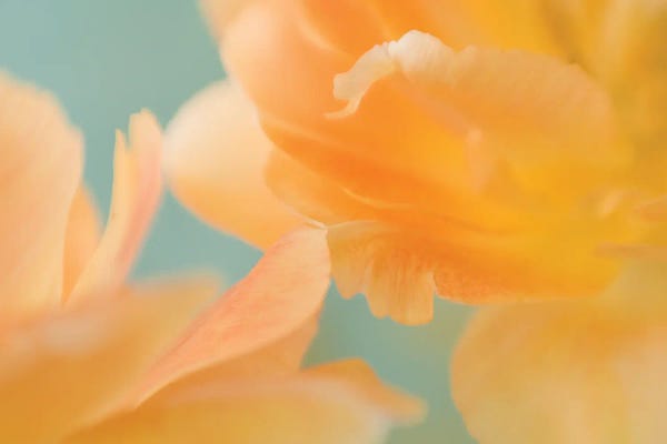 Judy Stalus: Double Vision II by Judy Stalus