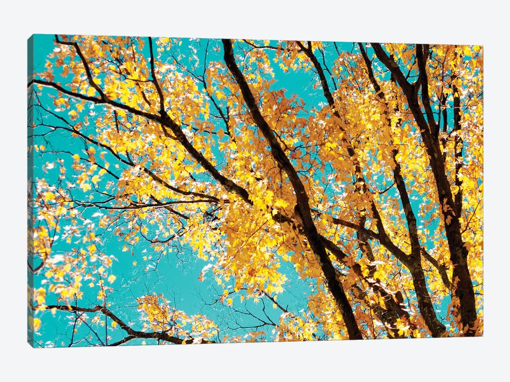 Autumn Tapestry IV by Judy Stalus 1-piece Canvas Print
