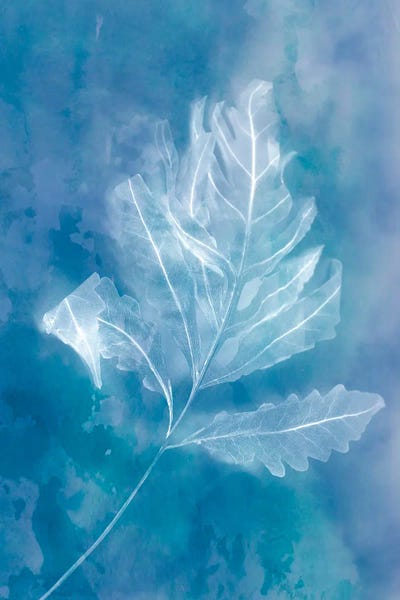 Autumn Leaf by Judy Stalus acrylic art print