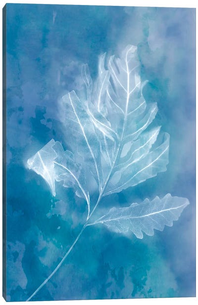Autumn Leaf Canvas Art Print