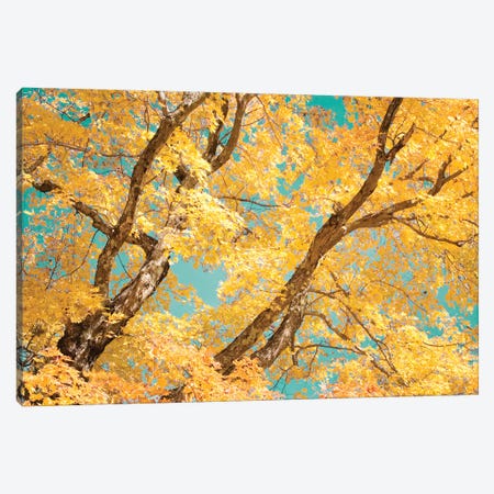 Autumn Tapestry V Canvas Print #STL5} by Judy Stalus Canvas Art Print