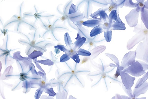 Judy Stalus: Blue On Blue by Judy Stalus