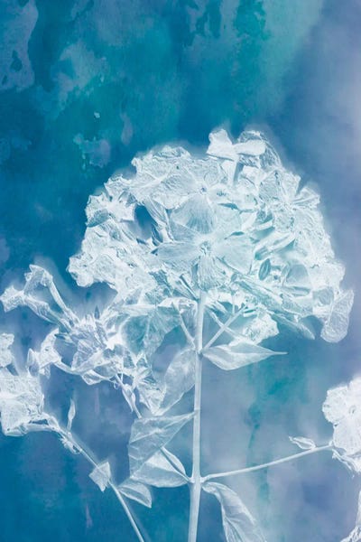 Judy Stalus: Felicity by Judy Stalus