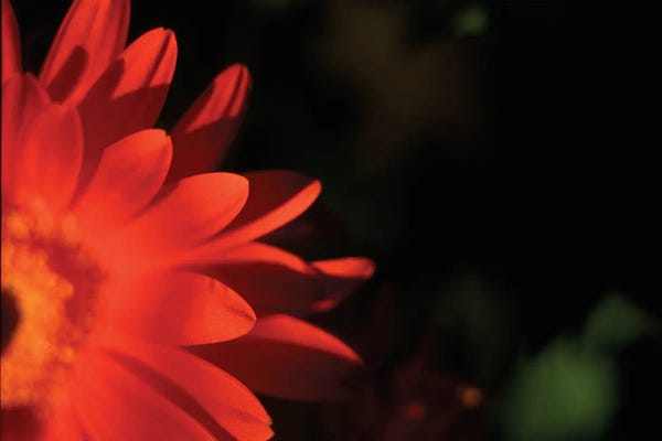 Judy Stalus: Red Sun by Judy Stalus