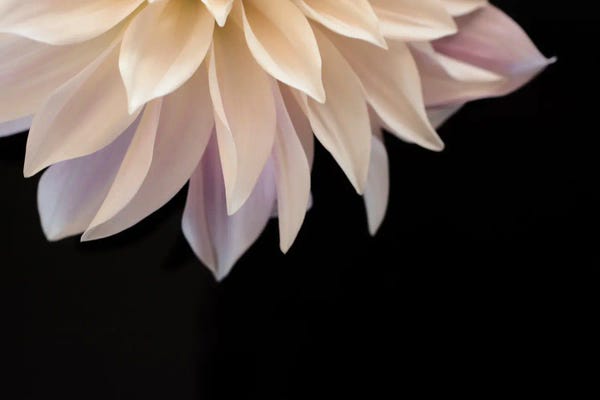 Judy Stalus: Self Reflection I by Judy Stalus