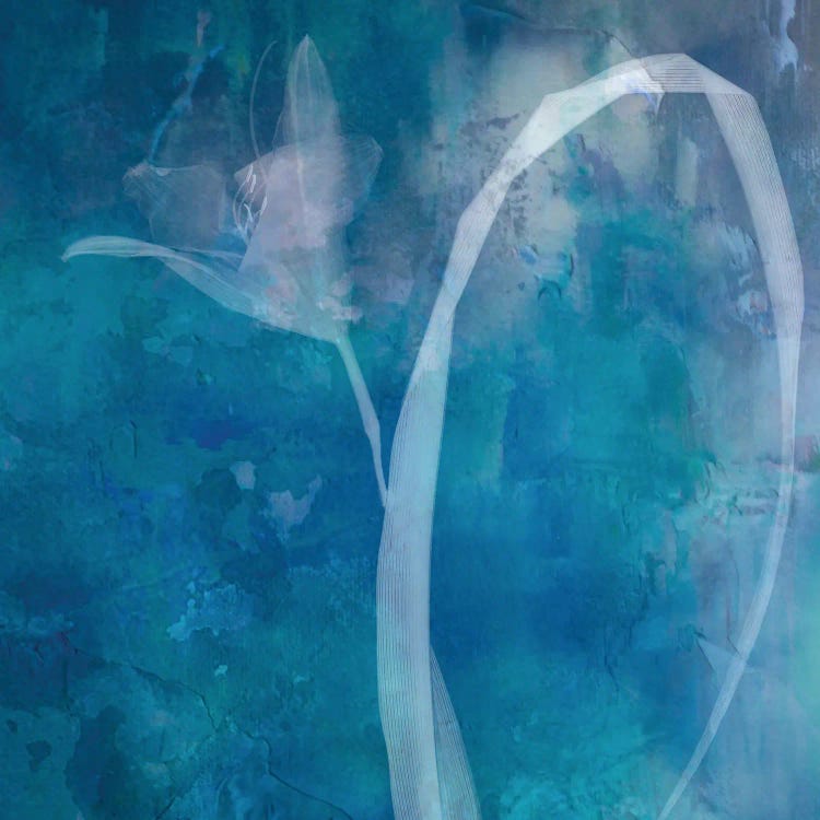 Tulip by Judy Stalus wall art